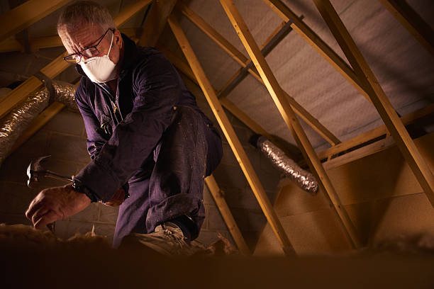 Best Insulation Maintenance and Repair in Egypt, PA